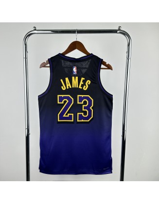 James #23 Los Angeles Lakers